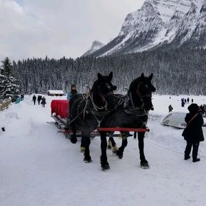 Meet your Posher, Jan